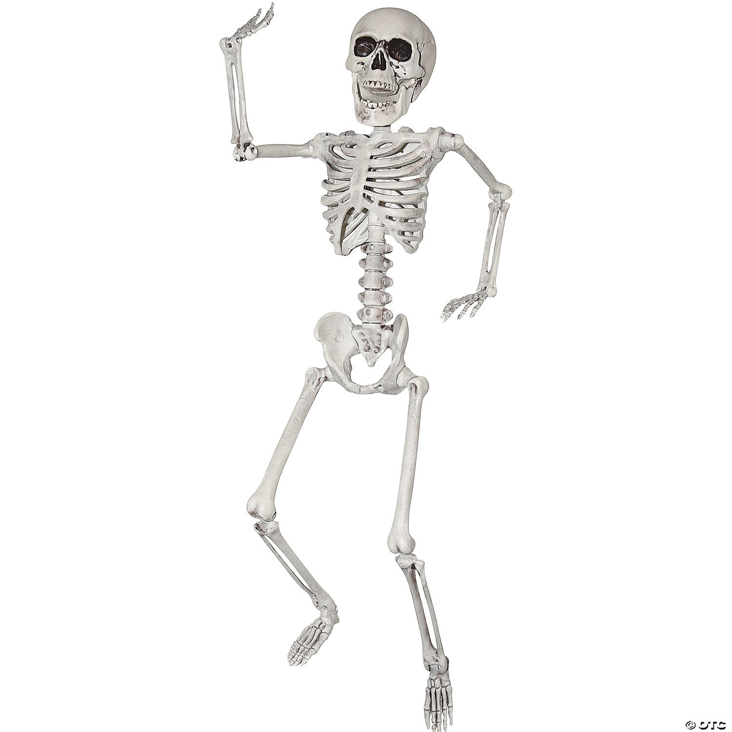 24  skeleton decoration~ss79170