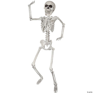 24  skeleton decoration~ss79170