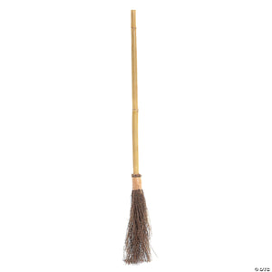 witch broom~mr122642