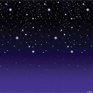 starry night backdrop~bg52024