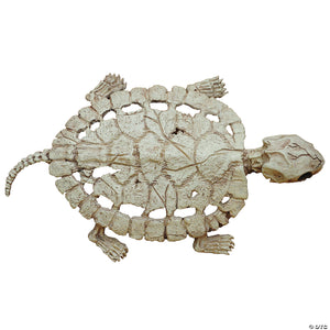 turtle skeleton decoration~sew80664