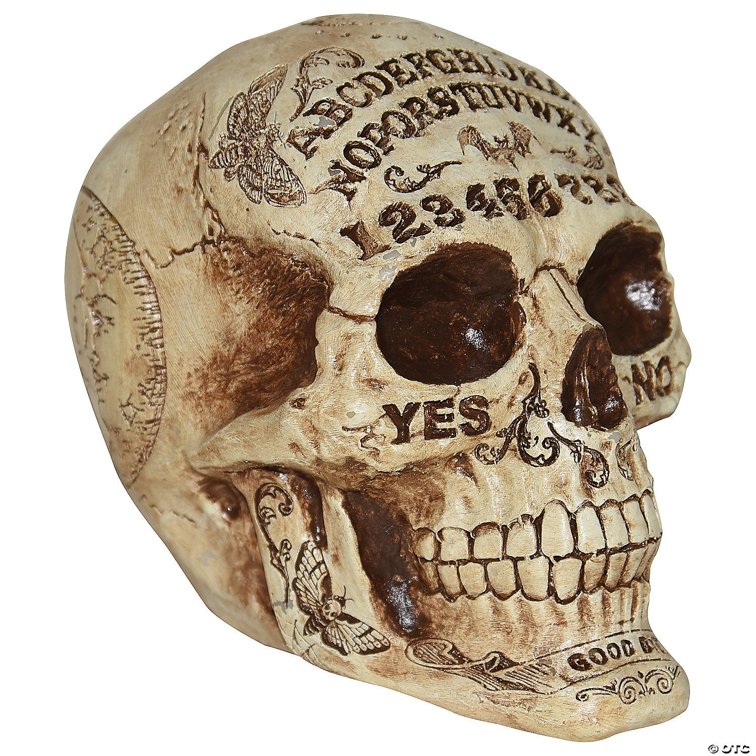 7  fortune telling skull halloween decoration~ss64353