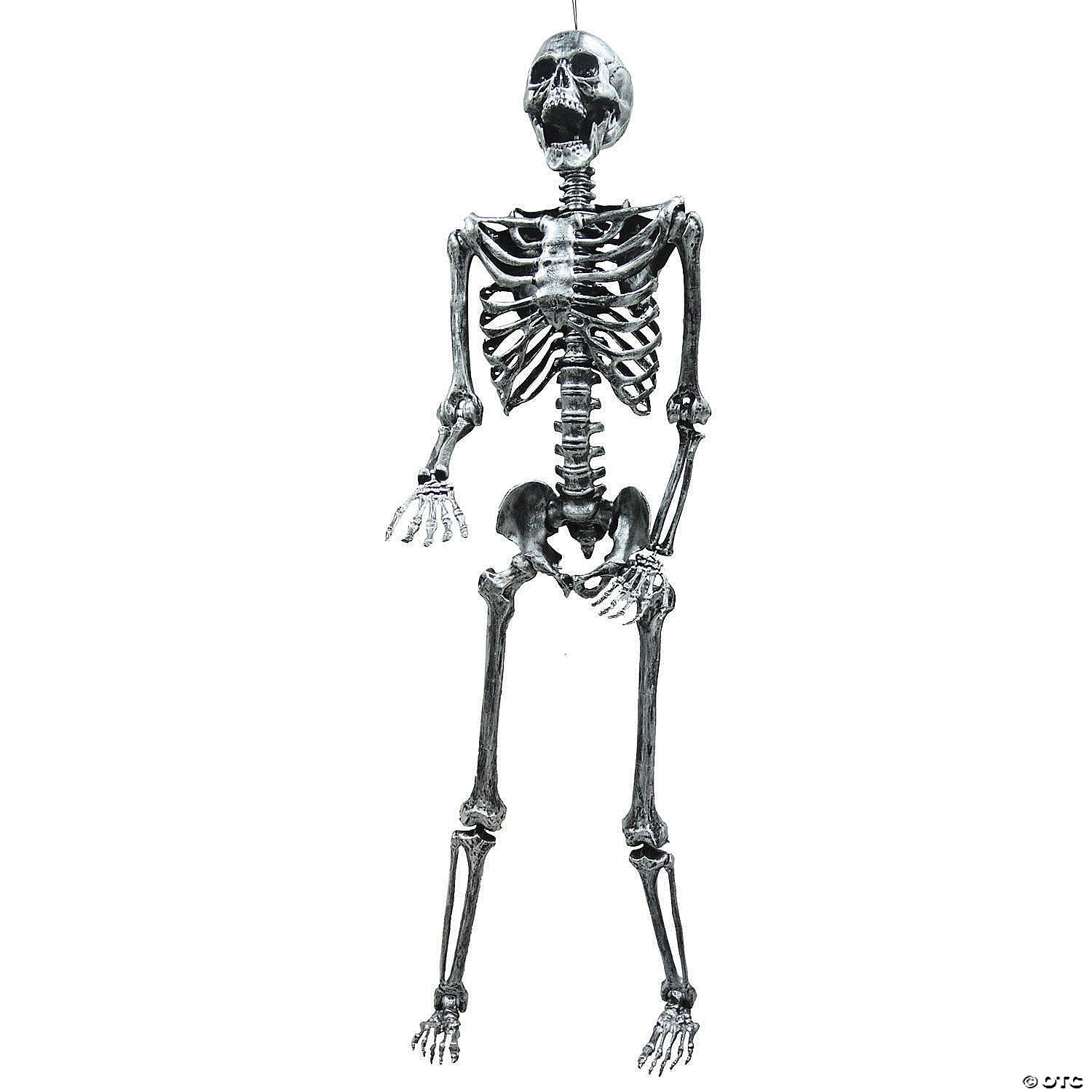 5  steel gray skeleton halloween decoration~ss72611