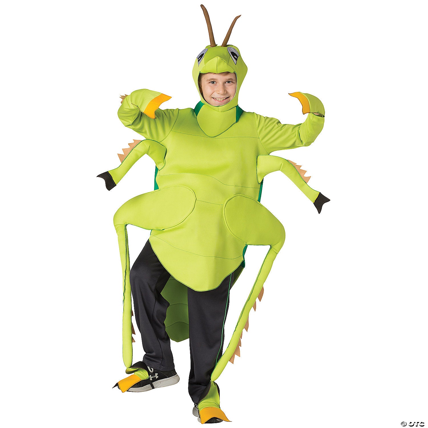 child s grasshopper costume~gc3112710-a02