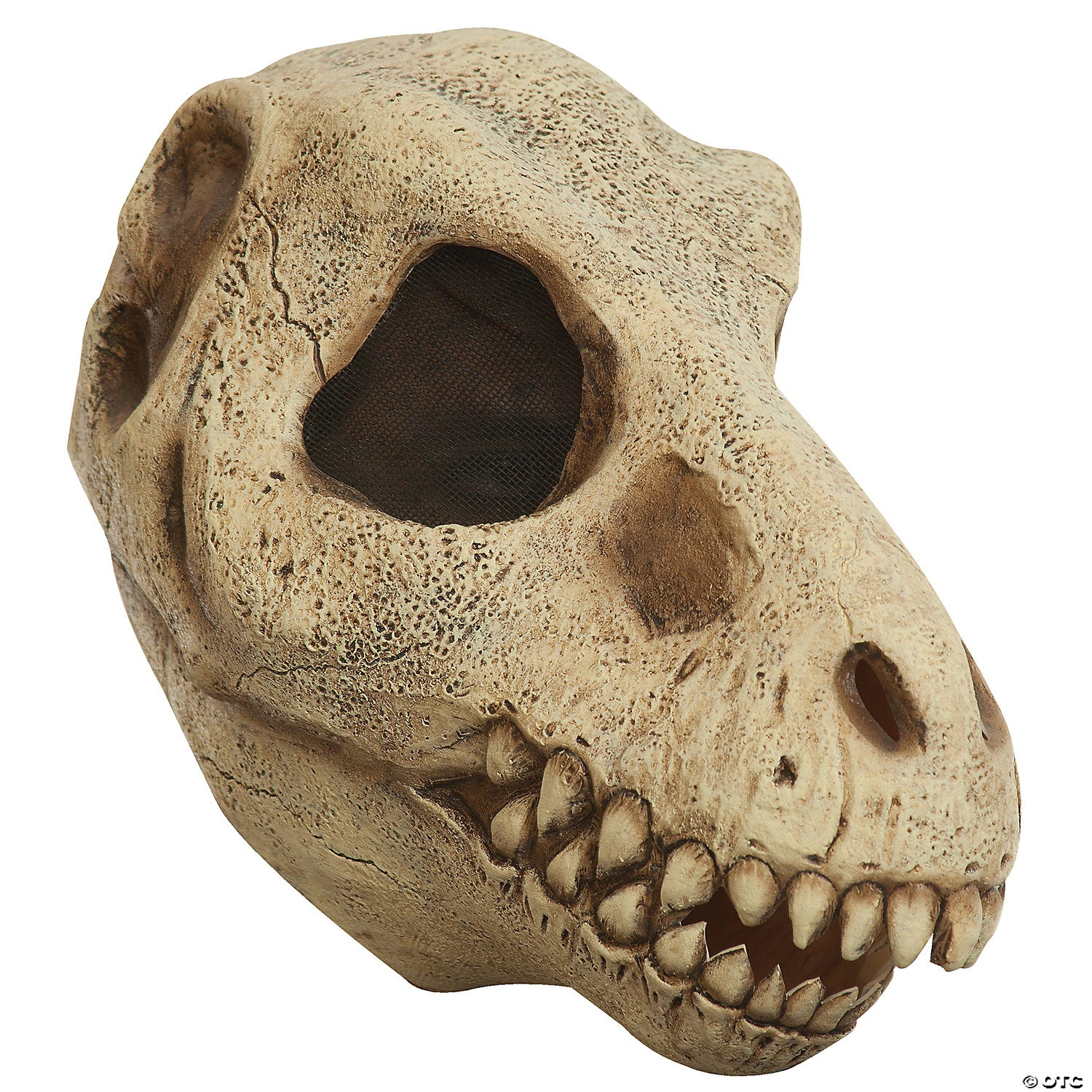 adults tyrannosaurus rex dinosaur skull mask~tb26803