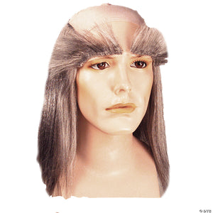 scrooge wig set~lw510gy