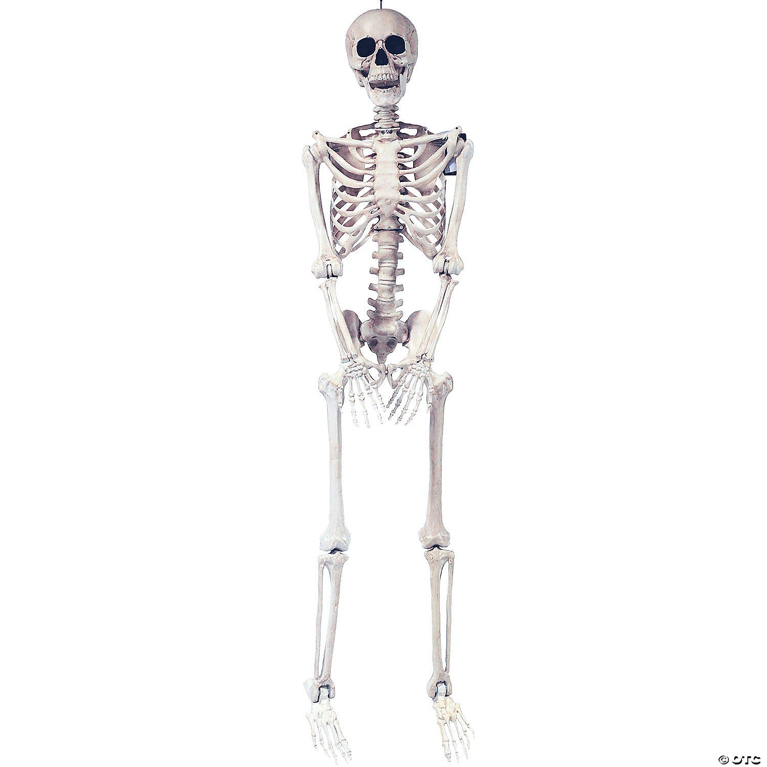 5 ft  skeleton pose & hold halloween decoration~ss39287-a03
