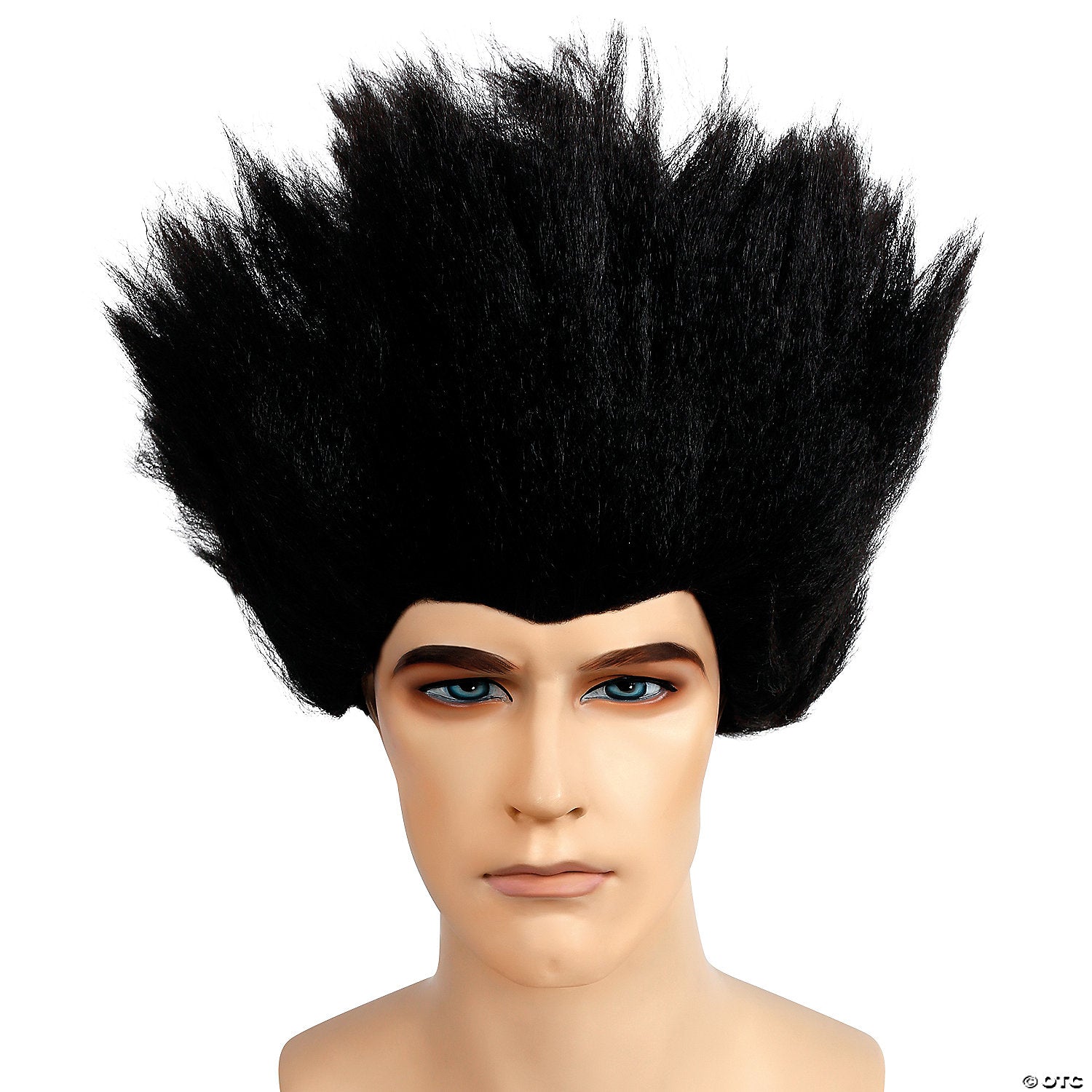 adults black traditional fright wig~lw754bk