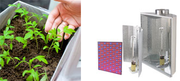 Gardening & Lighting
