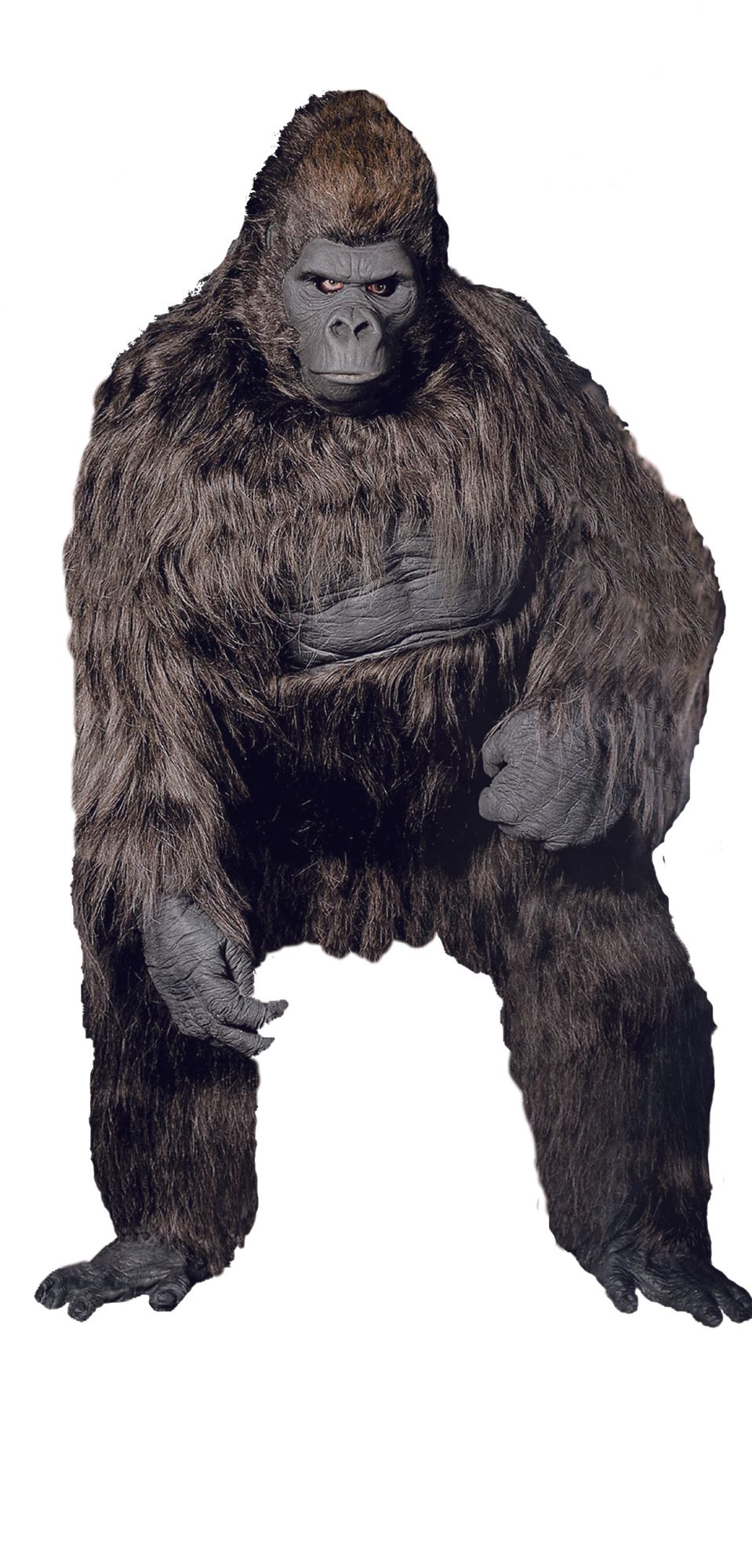 gorilla-mighty-costume-spec-or-42.png