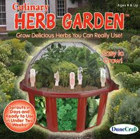 grow-a-culinary-herb-garden-22.jpg