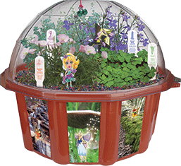 grow-a-fairy-triad-32.png