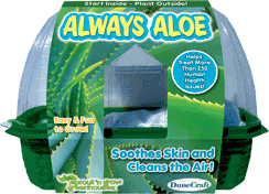 grow-your-own-always-aloe-24.jpg