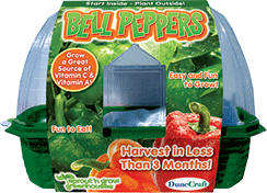 grow-your-own-bell-peppers-24.jpg