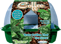 grow-your-own-coffee-24.jpg
