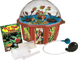 grow-your-own-hydroponic-fly-traps-17.png
