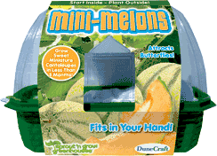 grow-your-own-mini-melons-22.jpg