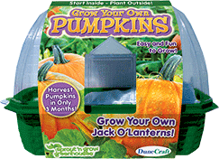 grow-your-own-pumpkins-24.jpg