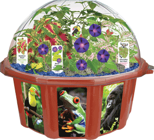 grow-your-own-rainforest-biosphere-29.png