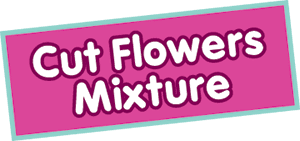 grow-your-own-seed-bombs-cut-flowers-mixture-42.png