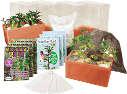grow-your-own-terraria-classroom-kit-22.jpg