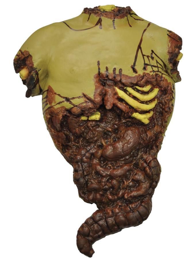 half-torso-chest-38.png