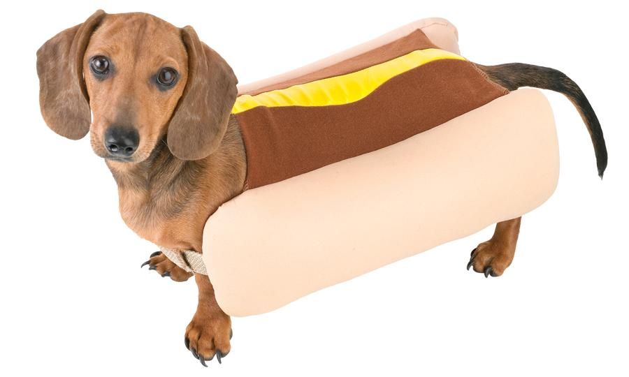 hot-dog-medium-35.png