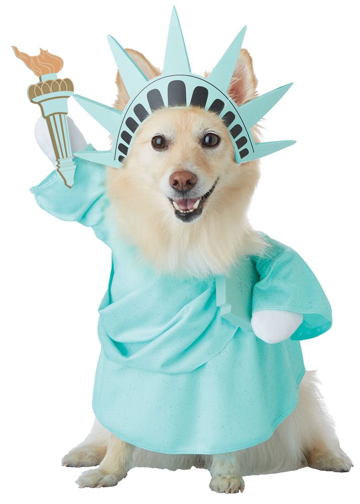 lady-liberty-dog-md-costume-18.png