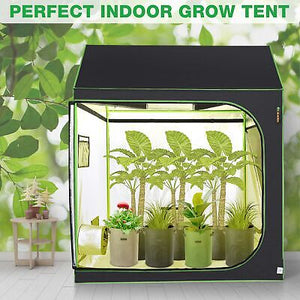 lagarden-60-x60-x70-indoor-grow-tent-roof-cube-reflective-hydroponic-plant-5x5-40.png