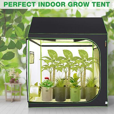lagarden-60-x60-x70-indoor-grow-tent-roof-cube-reflective-hydroponic-plant-5x5-40.png