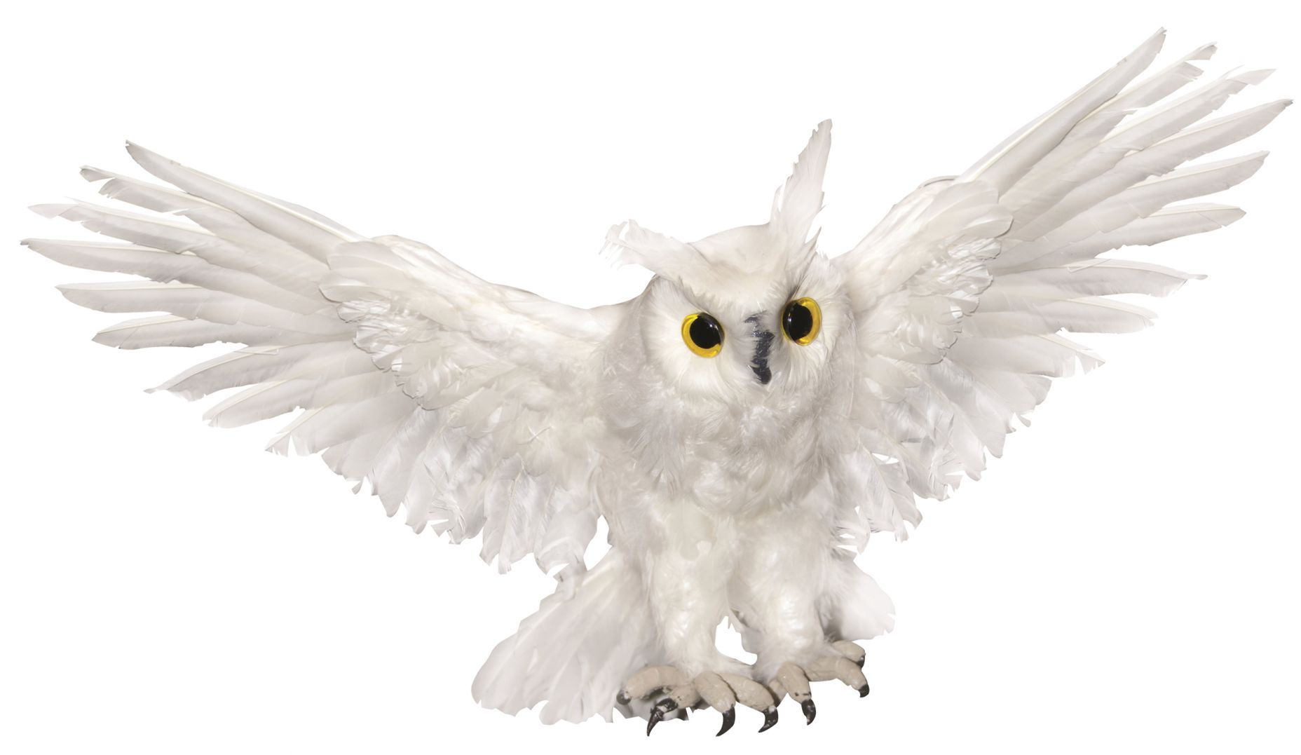 owl-white-19-inch-costume-40.png