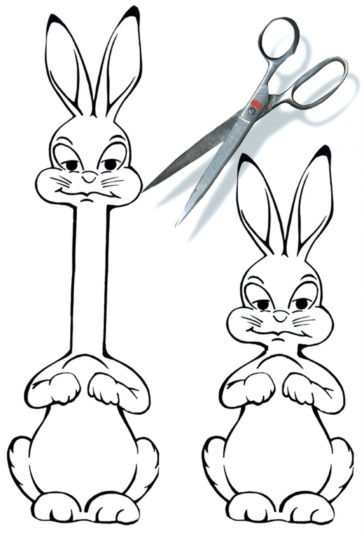 paper-magic-stretch-a-hare-52.png