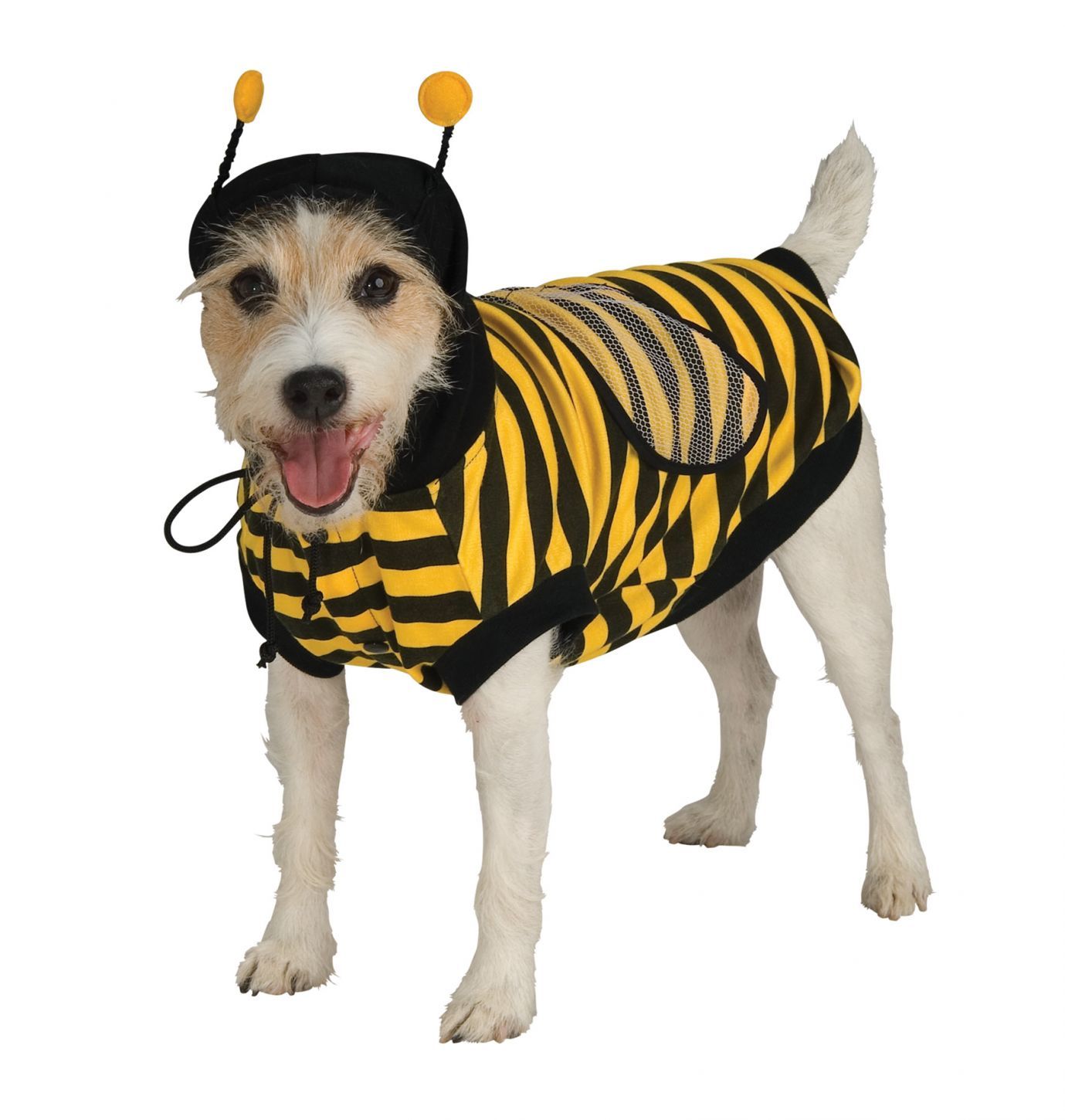 pet-bumblebee-medium-52.png