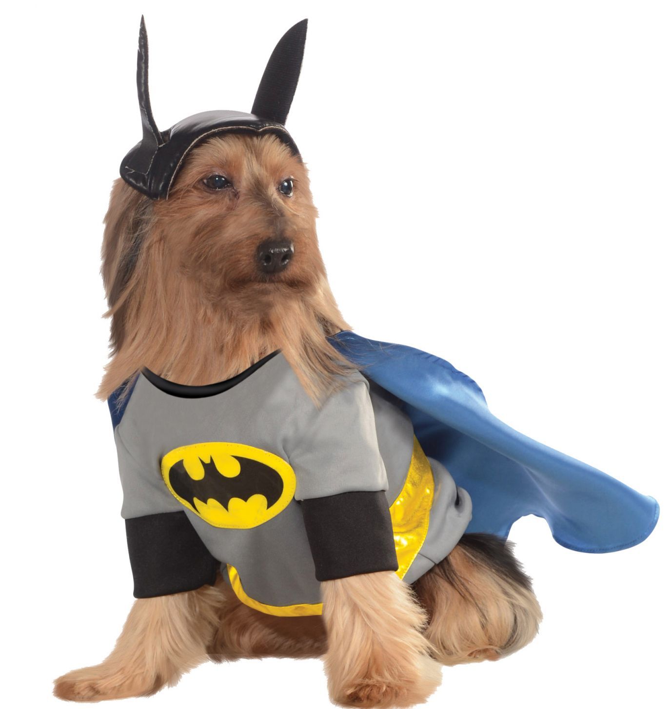 pet-costume-batman-xlarge-costume-30.png