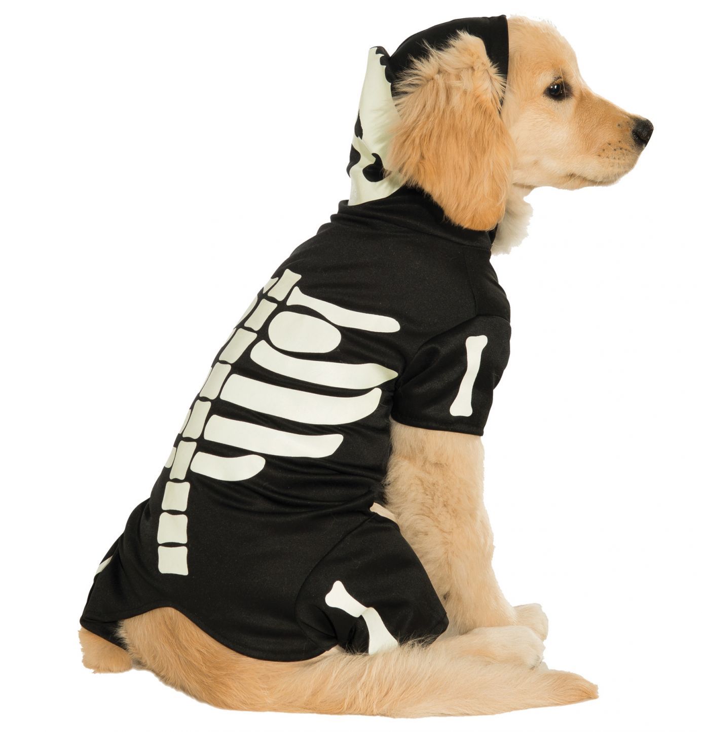 pet-costume-bones-glows-sm-costume-30.png