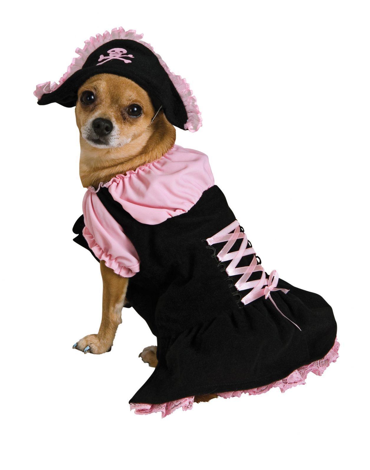 pet-costume-pink-pirate-md-costume-30.png