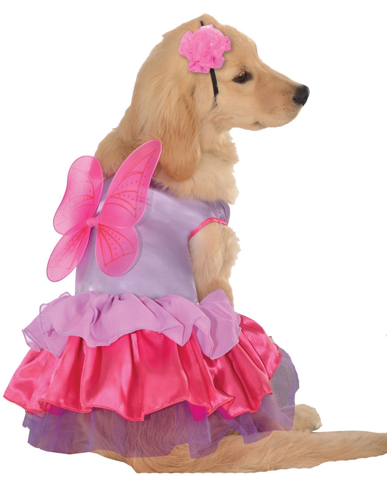 pet-costume-pixie-pup-lg-costume-28.png
