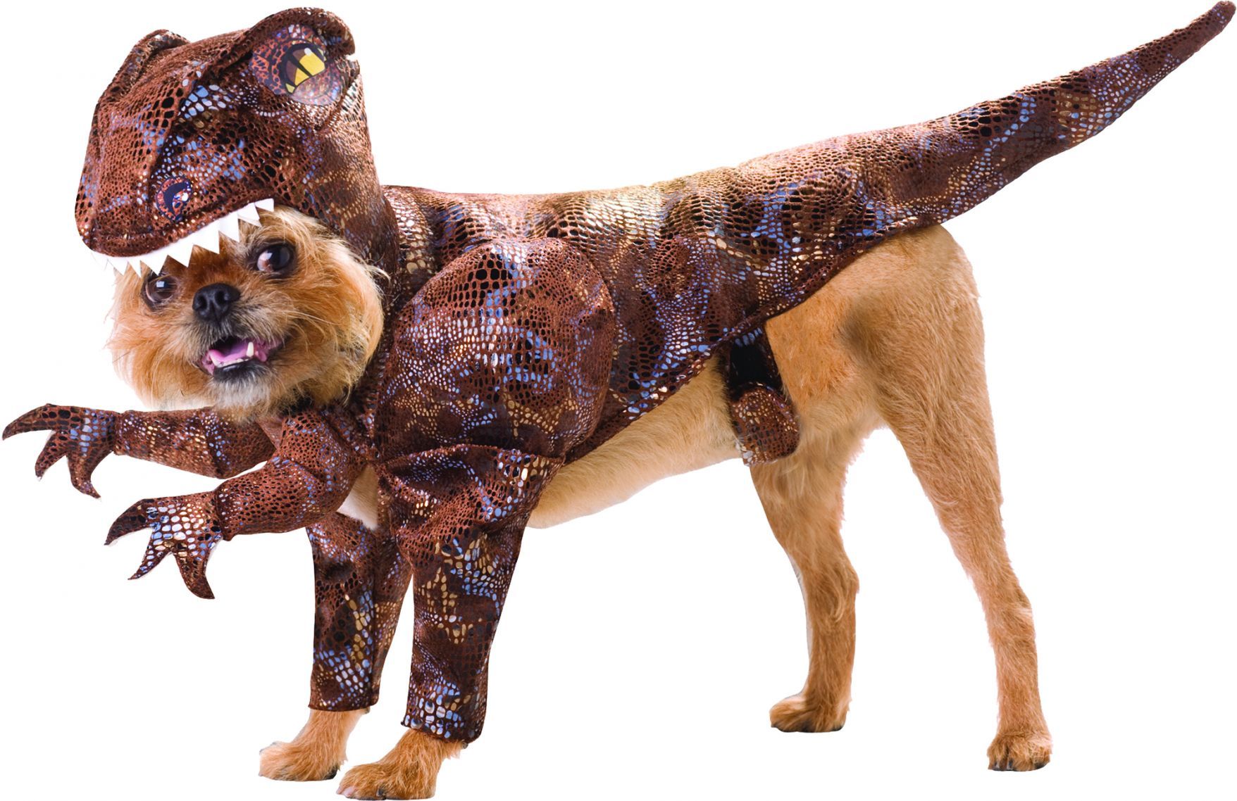 raptor-pet-animal-planet-large-52.png