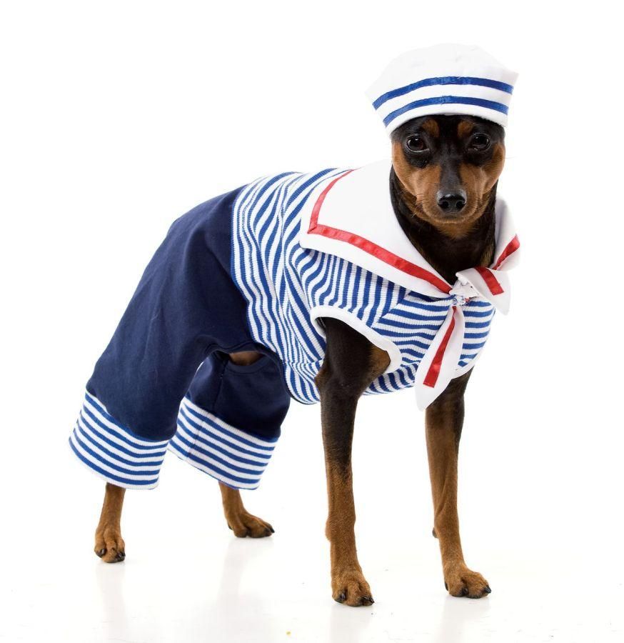 sailor-dog-dog-costume-small-35.png