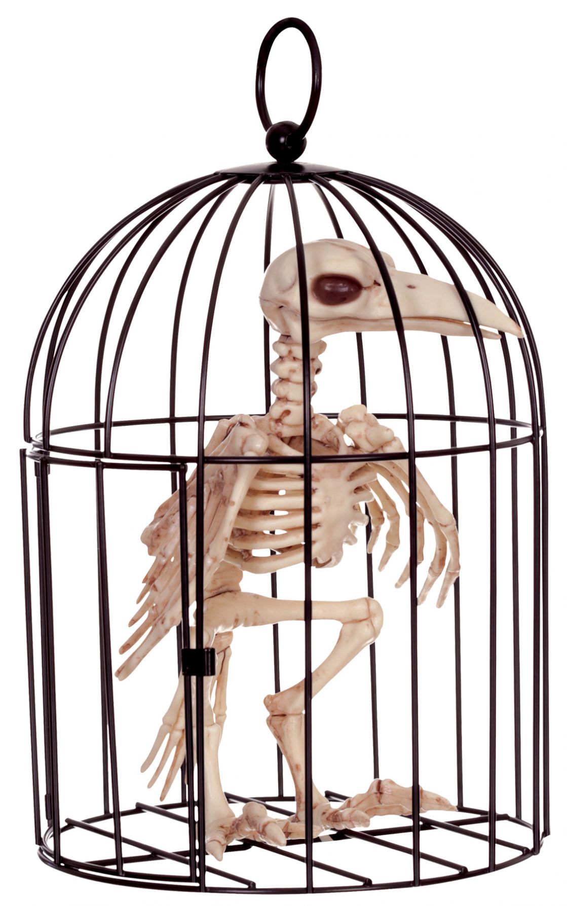 skeleton-crow-in-cage-costume-27.png