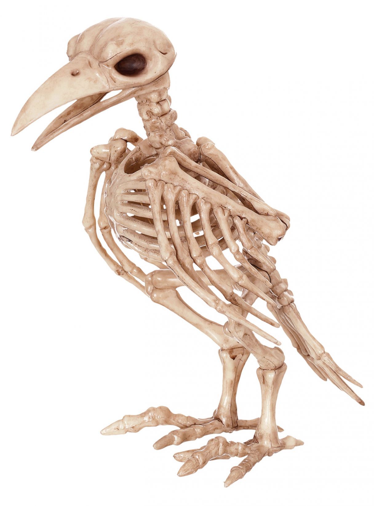 skeleton-raven-costume-30.png
