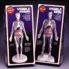 skillcraft-human-body-model-visible-woman-55.png