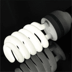 Studio Light Bulbs