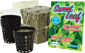 sweet-leaf-hydro-dome-refill-pack-39.png