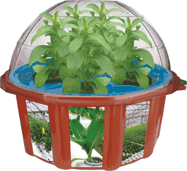 sweet-leaf-hydro-dome-refill-pack-41.png