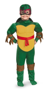 Tennage Mutant Ninja Turtle Costumes