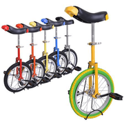 Unicycle