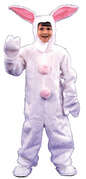 Unisex Costumes