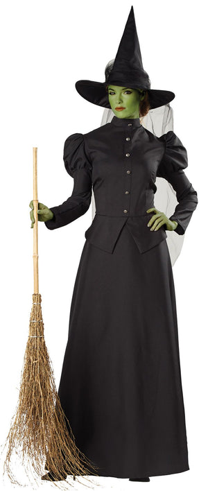 witch-classic-deluxe-adult-lg-costume-20.png