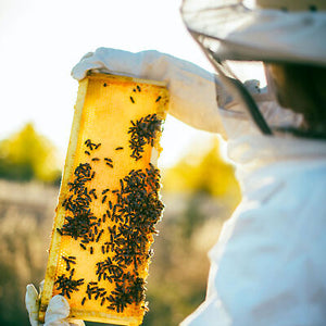 xl-beekeeping-goatskin-gloves-bee-keeping-with-vented-beekeeper-long-sleeves-71.png